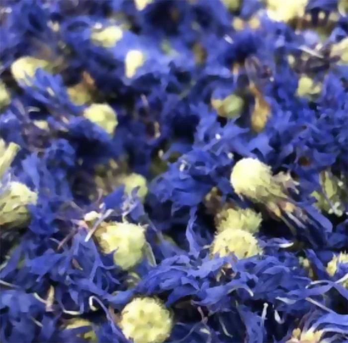 Pétales de fleurs de bleuets le bio d'olivier